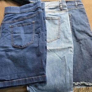 Lane Bryant Women's Jean Shorts - Dark, Light, and Medium Blue